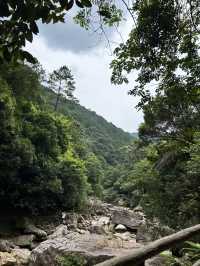 十萬大山森林公園