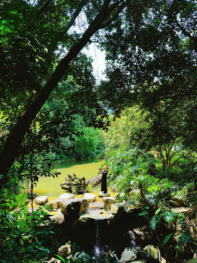 Seek tranquility and escape the summer heat in midsummer, come to Yunfu Xinxing Longshan Hot Spring Hotel!