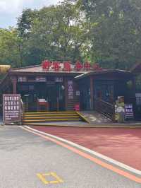 沙田——集安。