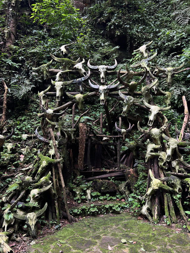 雲南秘境|西盟·龍魔爺聖地