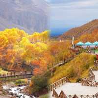 長白山秋日神話7天6夜不踩雷攻略。
