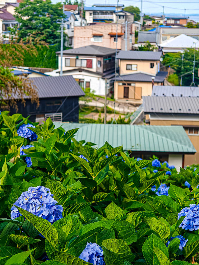 雲昌寺奇遇記｜夏日陸奧千里行【十二】。