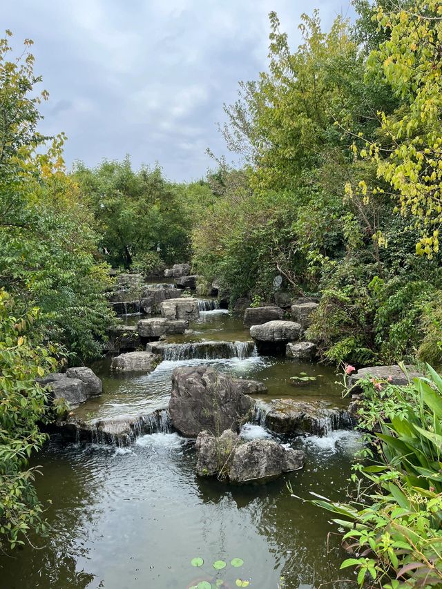 寧波~植物園~花開彼岸,一落千年。