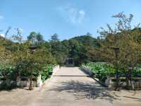 富樂山公園。