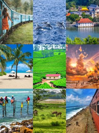 Sri Lanka is full of surprises and is visa-free! Go now while it's still not crowded.