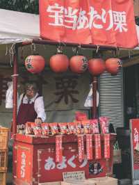 佐贺九年庵与大兴善寺：历史与自然的静谧对话。