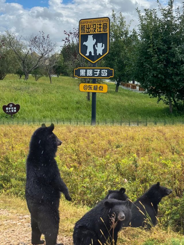 中國最東邊-撫遠黑瞎子島旅遊區。
