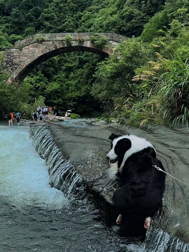 浙江徒步天花板，小泉溪。