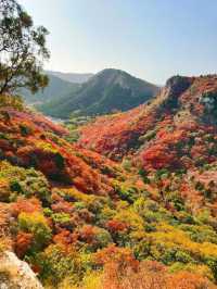 山東石門坊｜齊魯紅葉。