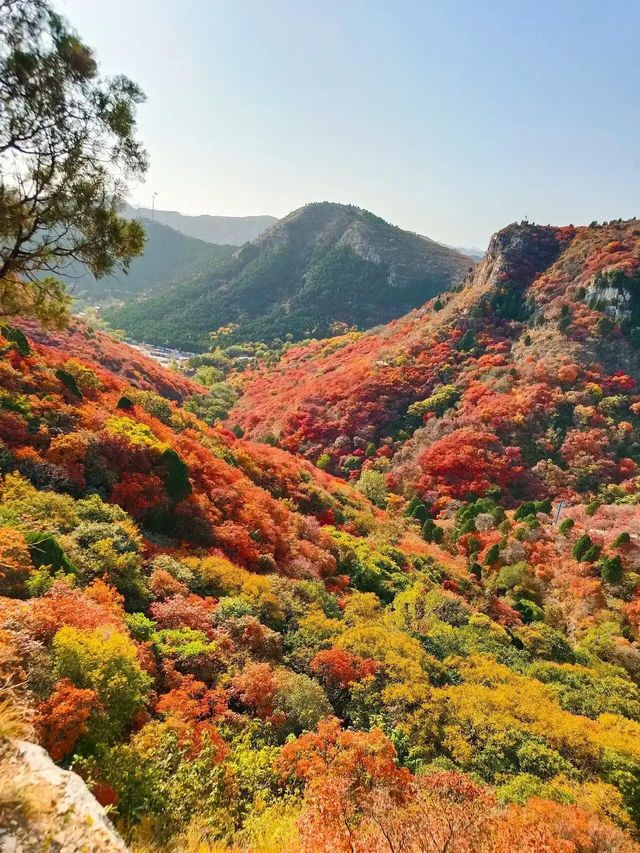 山東石門坊｜齊魯紅葉。