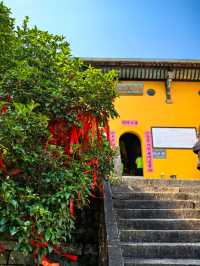 九華後山的九子岩也很美。