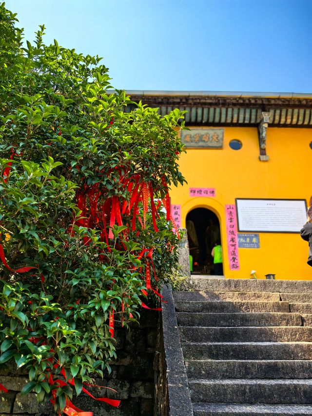 九華後山的九子岩也很美。 九華後山的九子岩也很美。