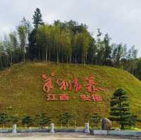 來羊獅慕爬山啦