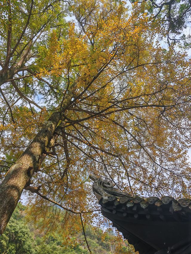 走進凱里第一站——飛雲崖。