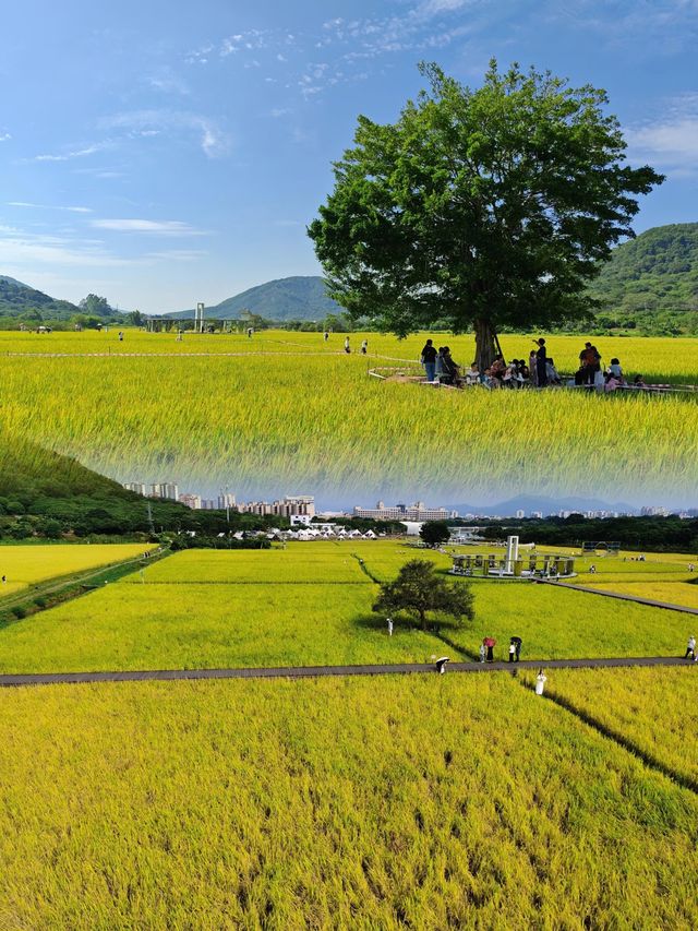 逃離都市喧囂，一起追逐田野的自由風。