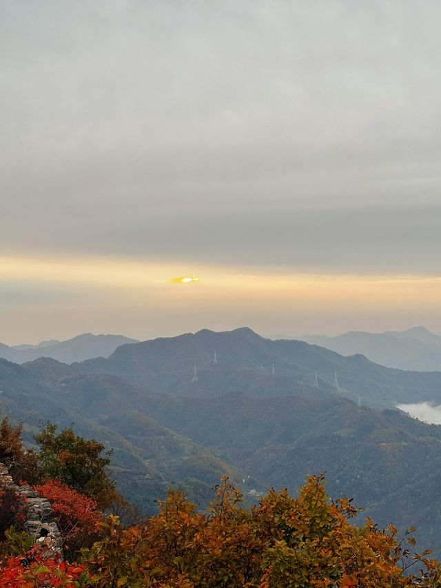 鎮安海棠山|雲海深處見海棠。