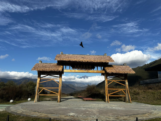 偏向山野行。