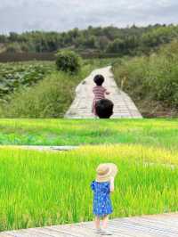 福州親子遊·永泰稻田獨棟小木屋。