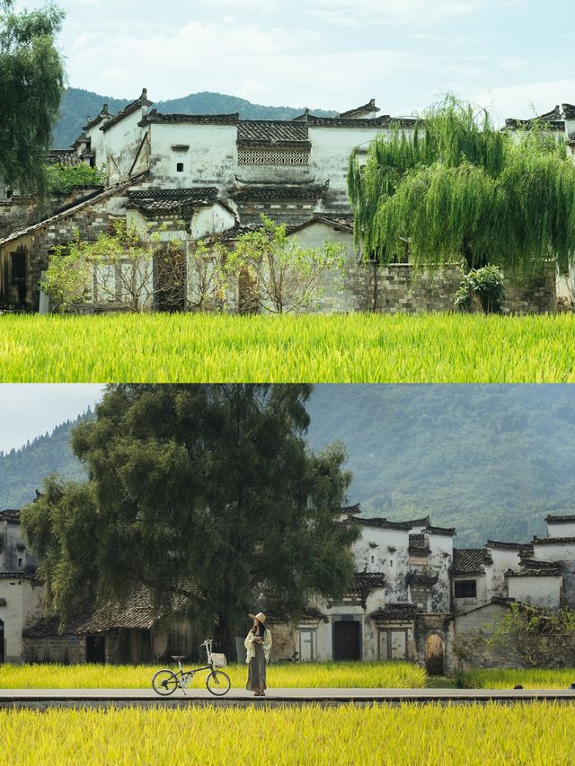 皖南秋日騎進一座真正安靜原始的古村落。