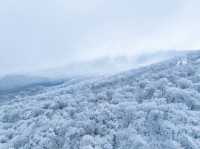 北大湖滑雪度假區 冰雪盛宴高山霧凇。
