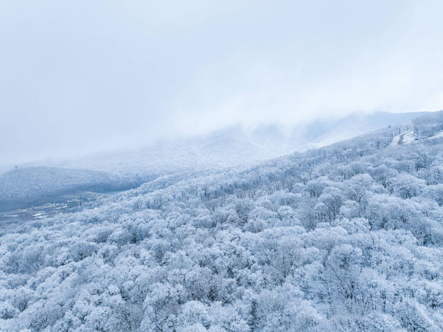 北大湖滑雪度假區 冰雪盛宴高山霧凇。