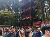 Travel Experience to Nikko's Toshogu Shrine on November 3rd