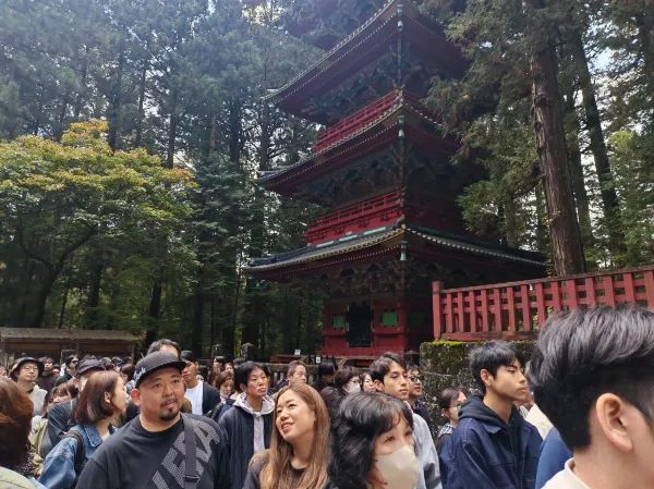 Travel Experience to Nikko's Toshogu Shrine on November 3rd