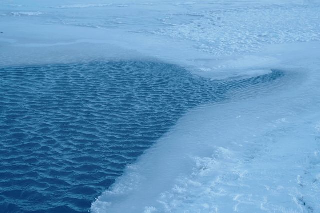 極北邊境小城/下雪的興凱湖美到窒息！。