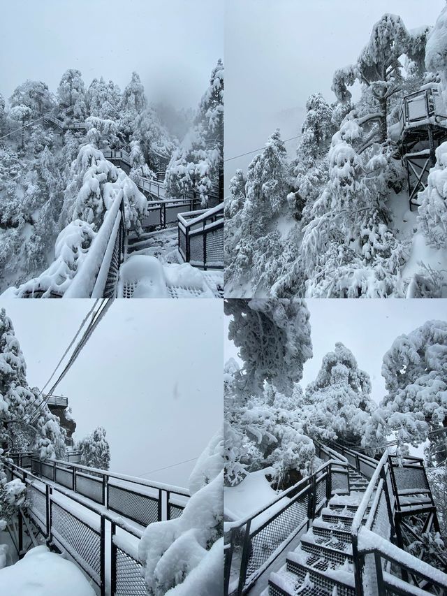 這個冬天一定要來大明山滑一次雪！