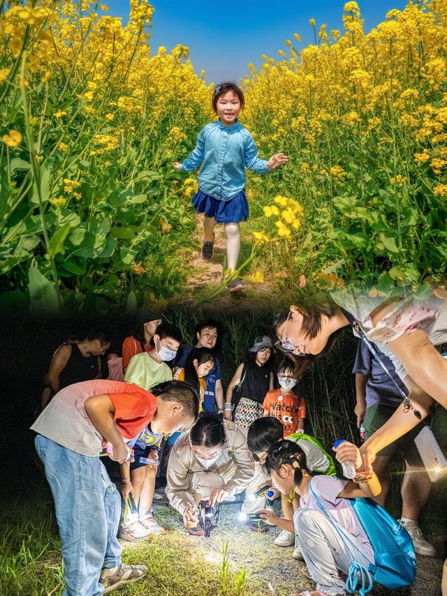 東灘濕地公園：自然愛好者的天堂，你準備好了嗎？