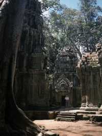 Discovering the Magic of Angkor Wat with a Seven-Day Pass