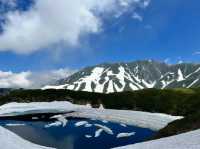 富山 | 北陸的四季風情畫卷 。