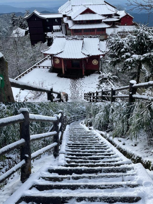 峨眉山：成都近郊被忽視的冬日仙境