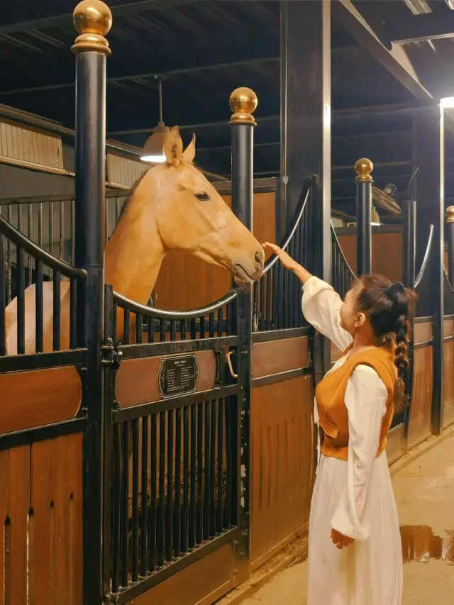烏魯木齊‖汗血寶馬基地一定要去！