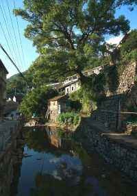 藏在浙江深山裡的800年避世古村，村內古樸村外秀麗