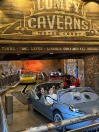 A Day at California Disneyland: 16 Rides and More!