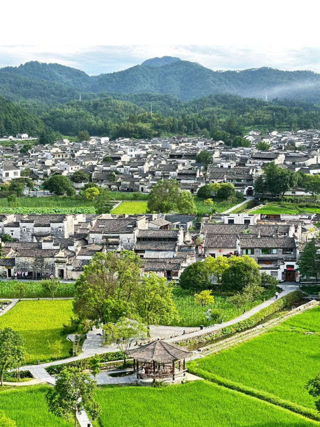 西遞 老街舊巷，青磚灰瓦，寫滿歲月悠長