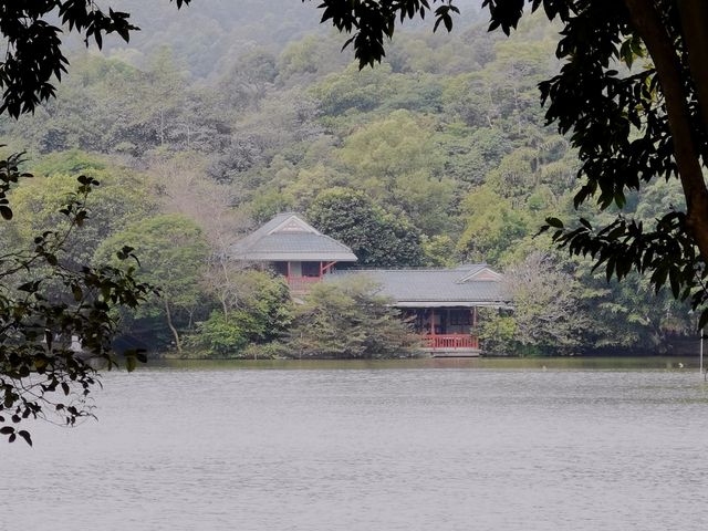 周末休閒好去處~廣州大夫山森林公園