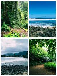 夏威夷可愛島，風光無限好的度假勝地
