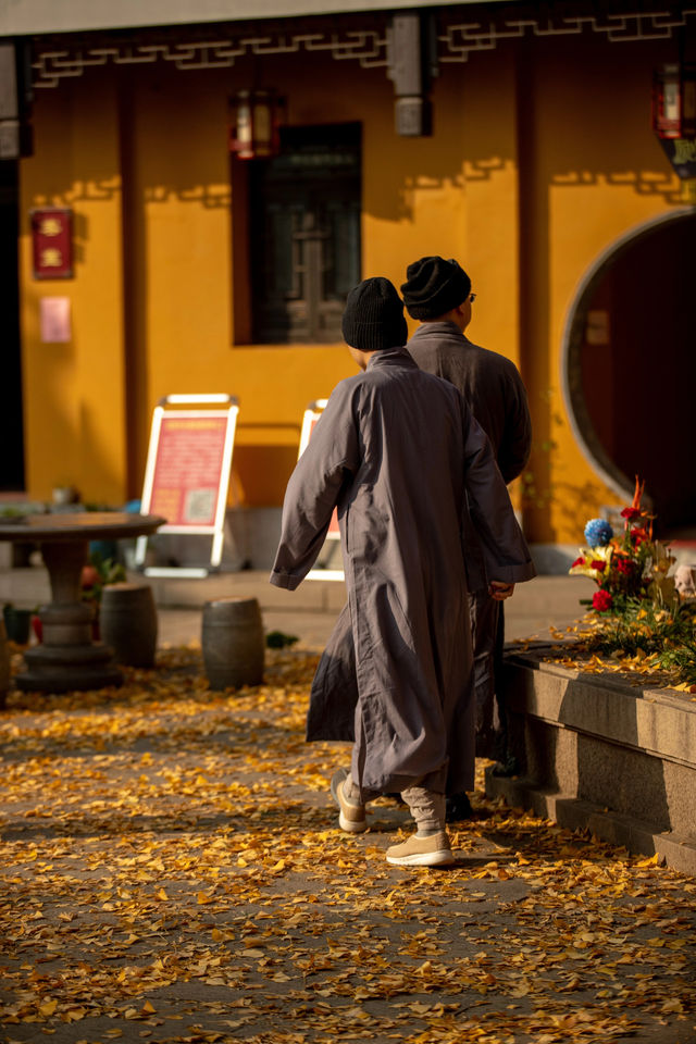 定慧寺千年銀杏：金秋禪意之美