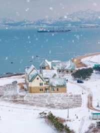真的不是北海道！是大雪紛飛後的威海！！