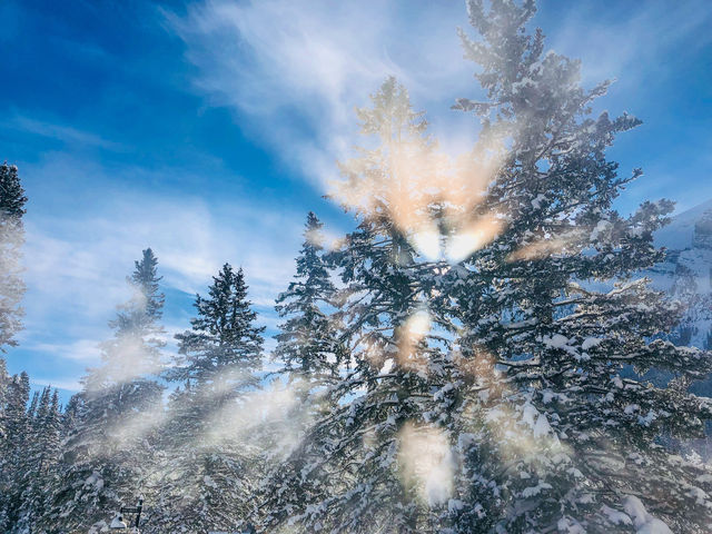 原來冰封的露易絲湖雪景比夏天還美