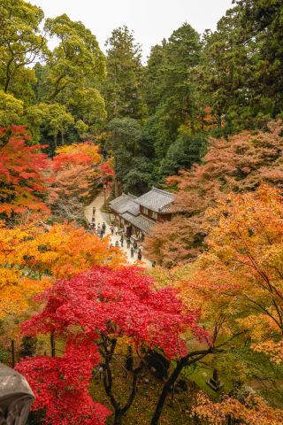 Shoshazan Engyo-ji Temple｜A scenic spot with a story at every turn