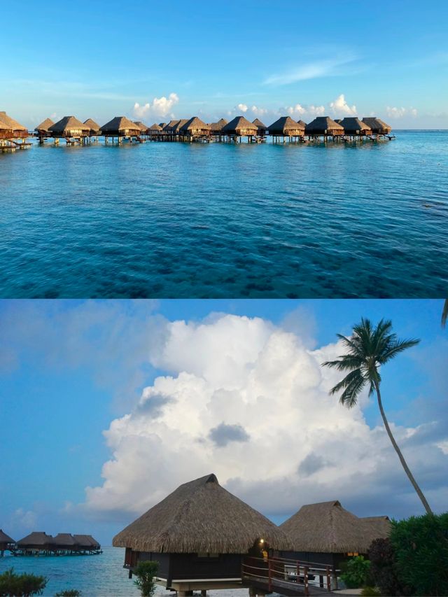 大溪地 茉莉亞島