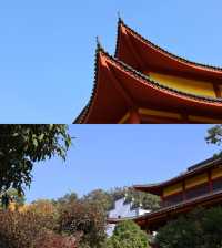 探秘湖北蕲春：冷門小城的寶藏之旅