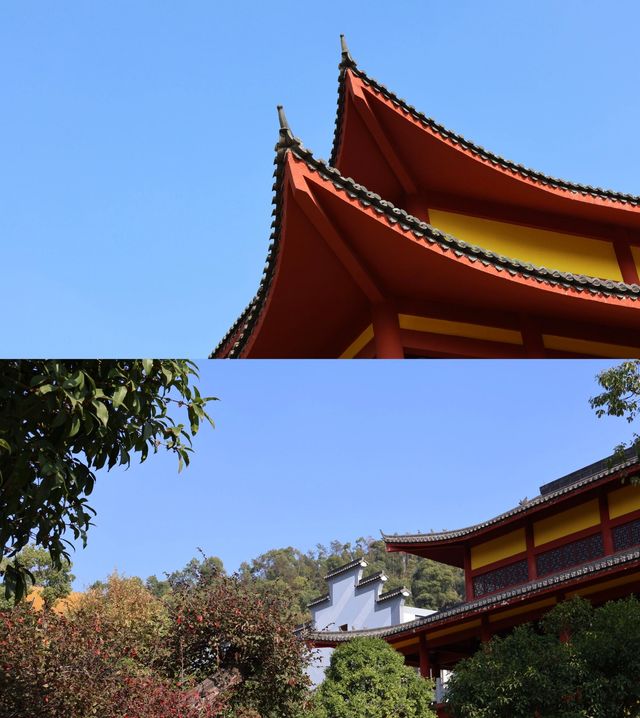 探秘湖北蕲春：冷門小城的寶藏之旅