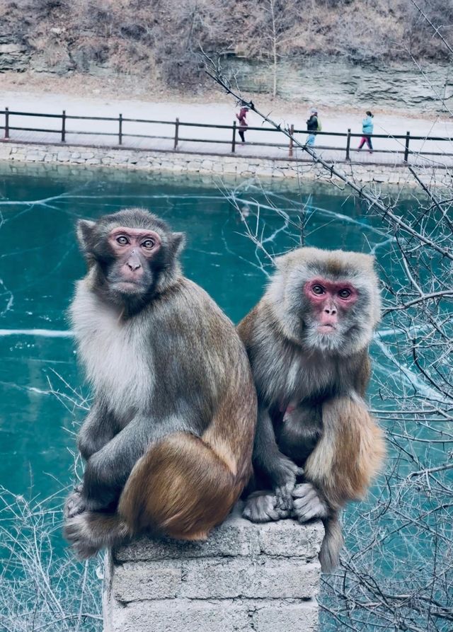 不是冰島去不起  而是通天峽更有性價比