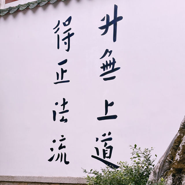 【承天禪寺】泉州鬧市中，靜謐清幽的寺廟