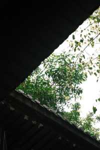 深圳-般若禪寺 | 鬧市中的寧靜禪意