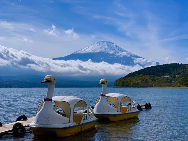 交換一張富士山的冬季照片！